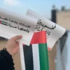 تاق السيارة