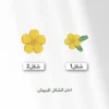 ١ باكج زهرة الإمارات