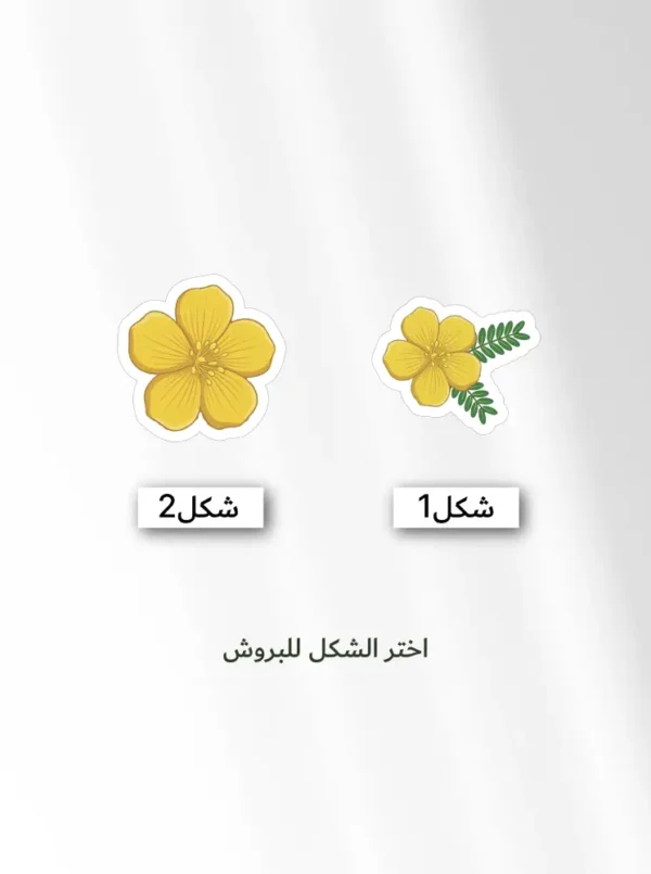 ١ باكج زهرة الإمارات