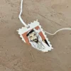 تاق الباني المؤسس -رحمه الله-