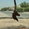 تاق 7